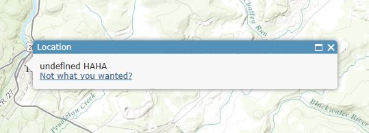 geocoder_popup_additionalfields_undefined.JPG