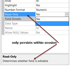 read_only_fields.png