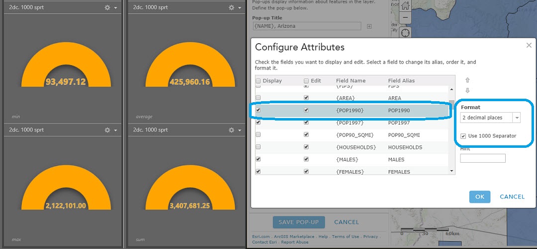 GaugeWidget_DecimalPlace+1000SeparatorSettings.jpg