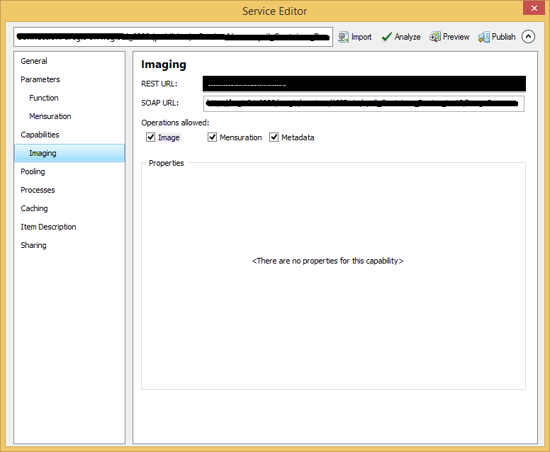 Imageservicecapabilities.png
