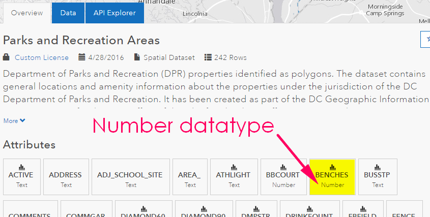 Open Data Number Datatype