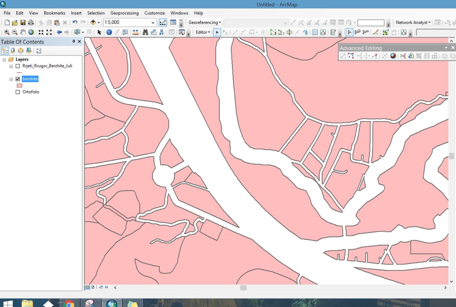 Polygons in ArcGIS
