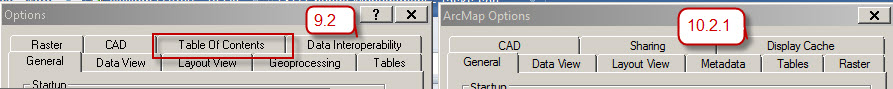 ArcMap_Options_comp.jpg