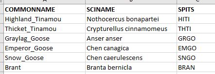 List