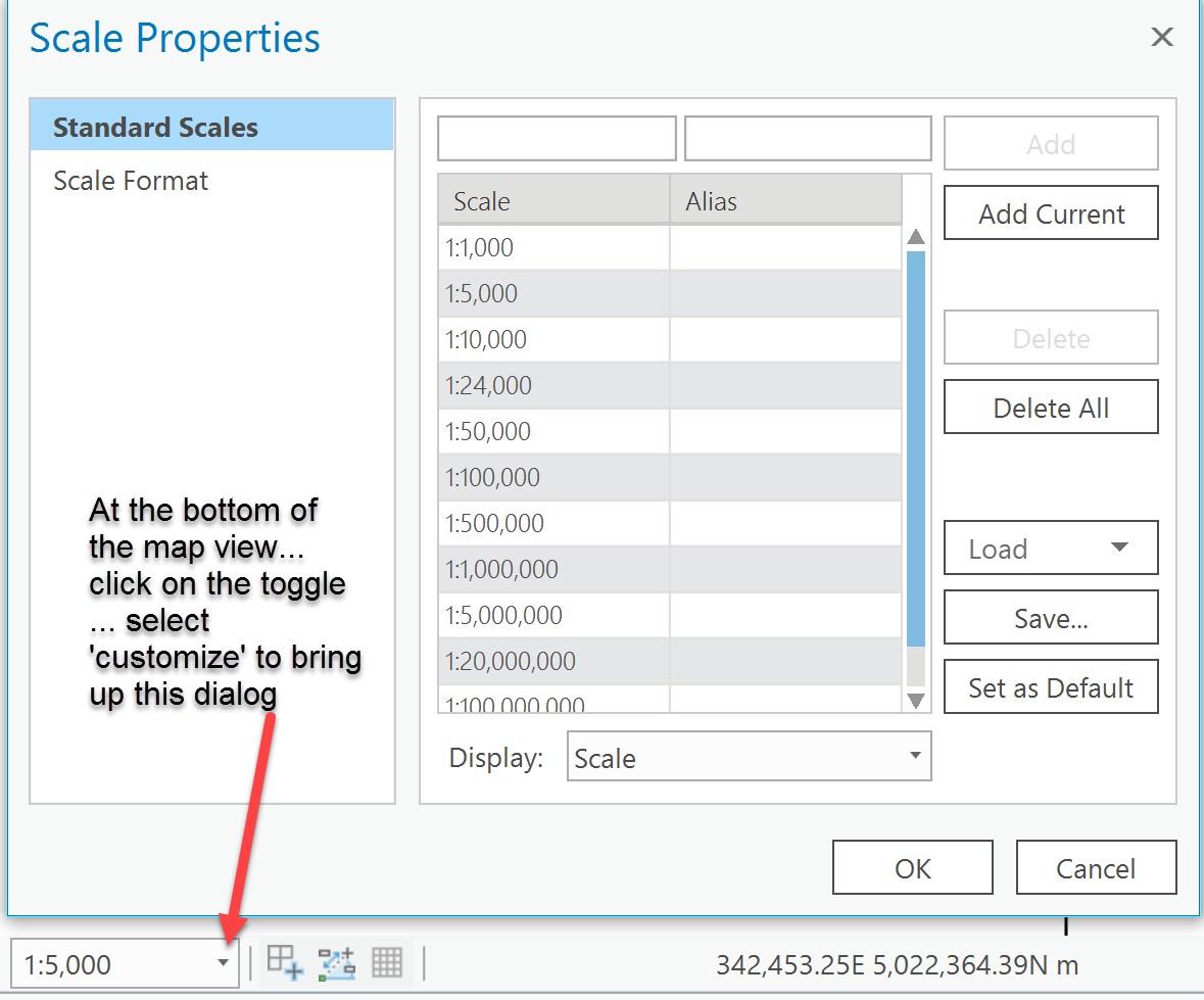 scale options for pro