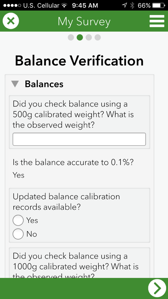 Image of a survey one the phone.