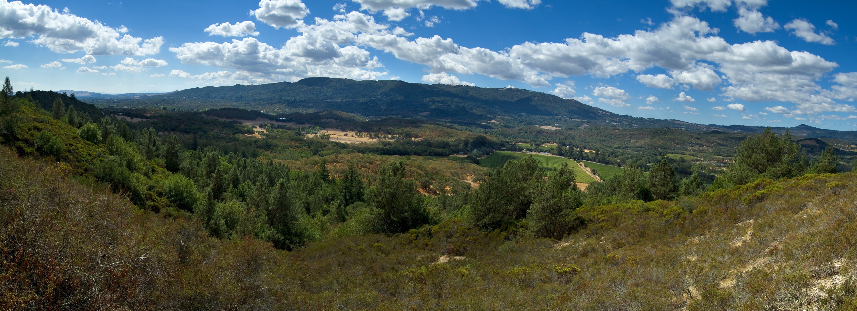 Little Black Mountain - Sonoma Land Trust