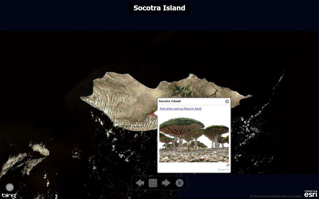 weird_earth_socotra_island-1024x640.jpg