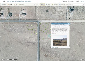 ants_in_shoshoni_wy_screenshot-300x215.jpg