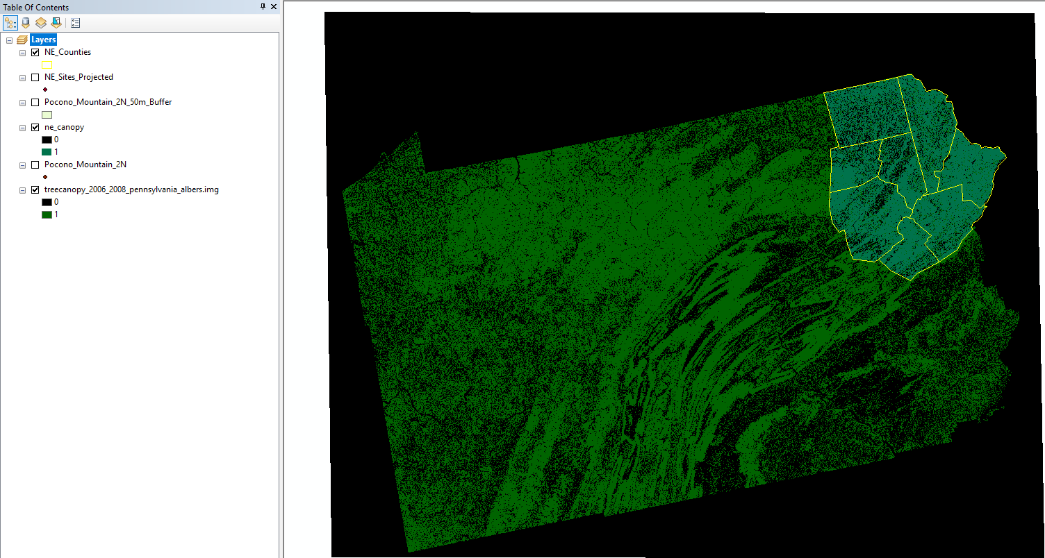 Raster. Whole state versus the portion I clipped in the Northeast