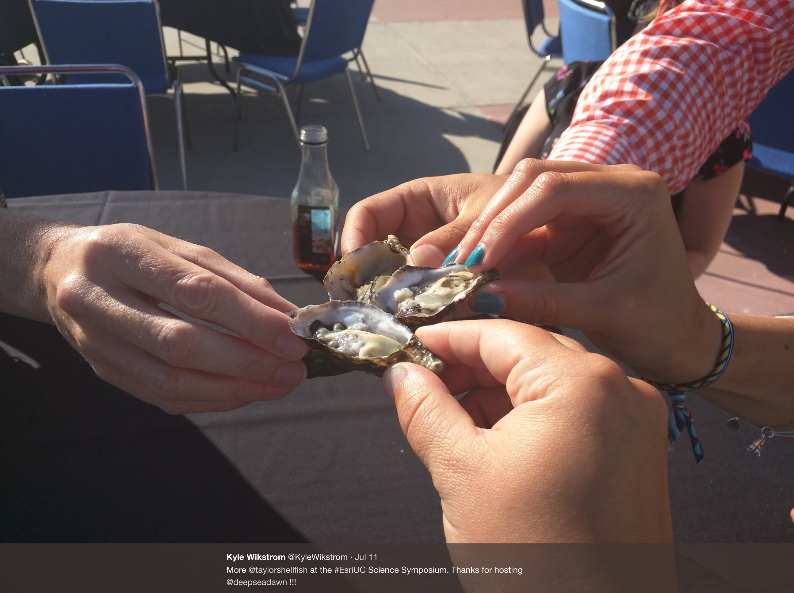 Group holding oysters