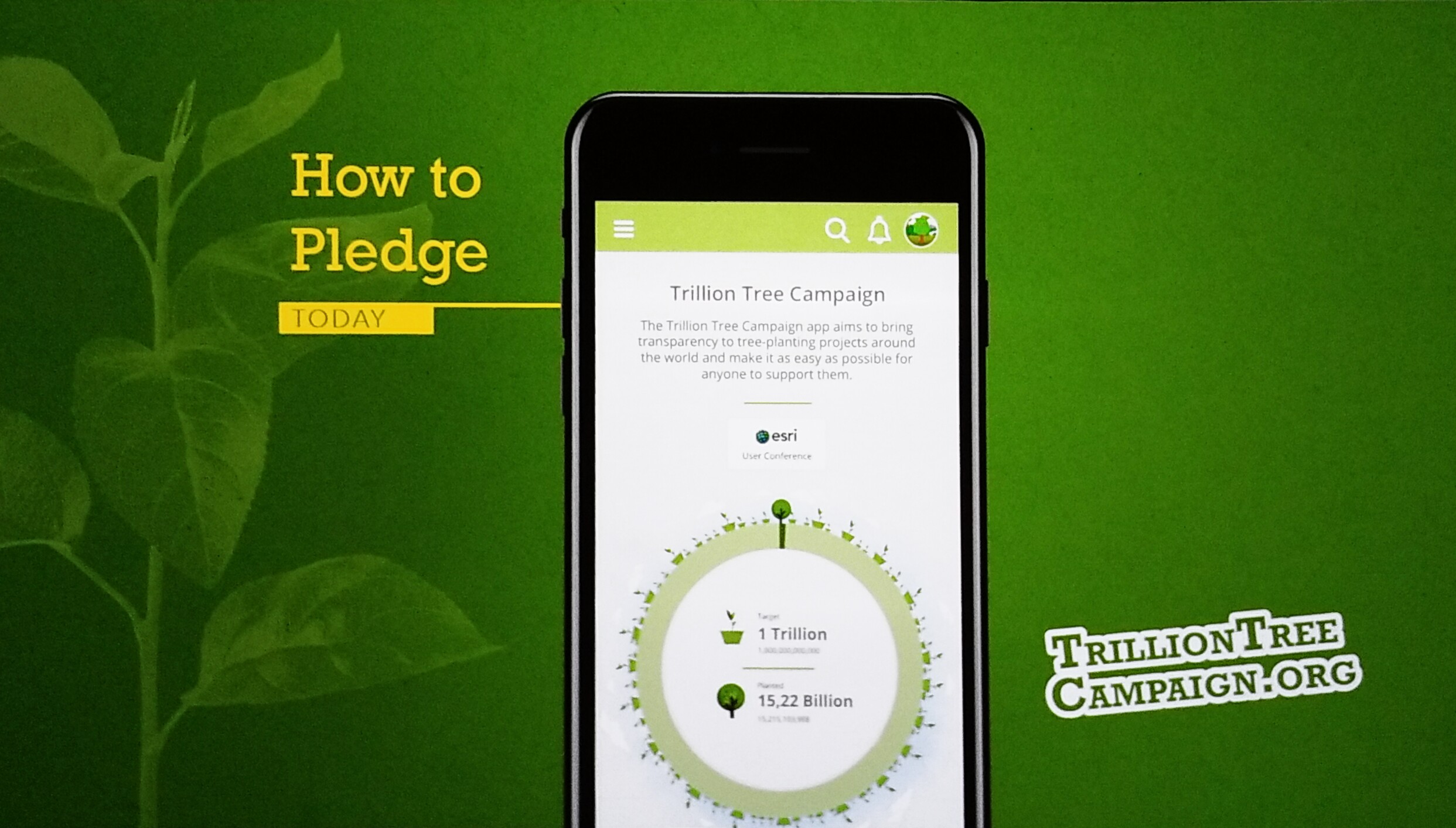 Trillion Tree Campaign App