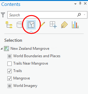 Contents pane in ArcGIS Pro with List By Selection tab highlighted