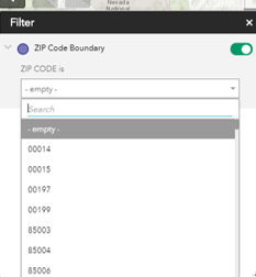 Example of -empty- option in filter drop-down list.