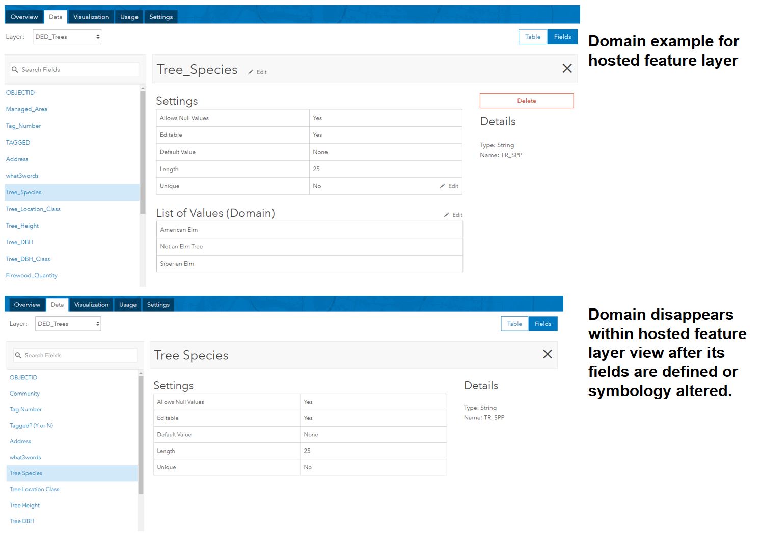 Hosted feature layer view domains disappear.