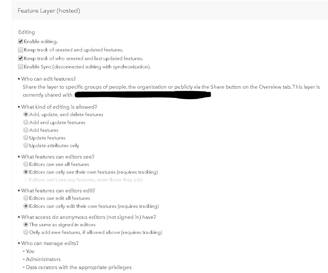 Hosted Feature Layer Settings