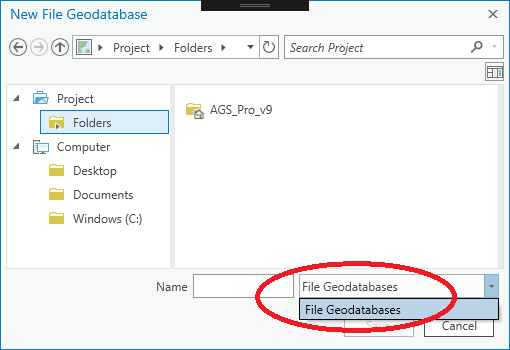 ArcGIS Pro New FileGDB Dialog