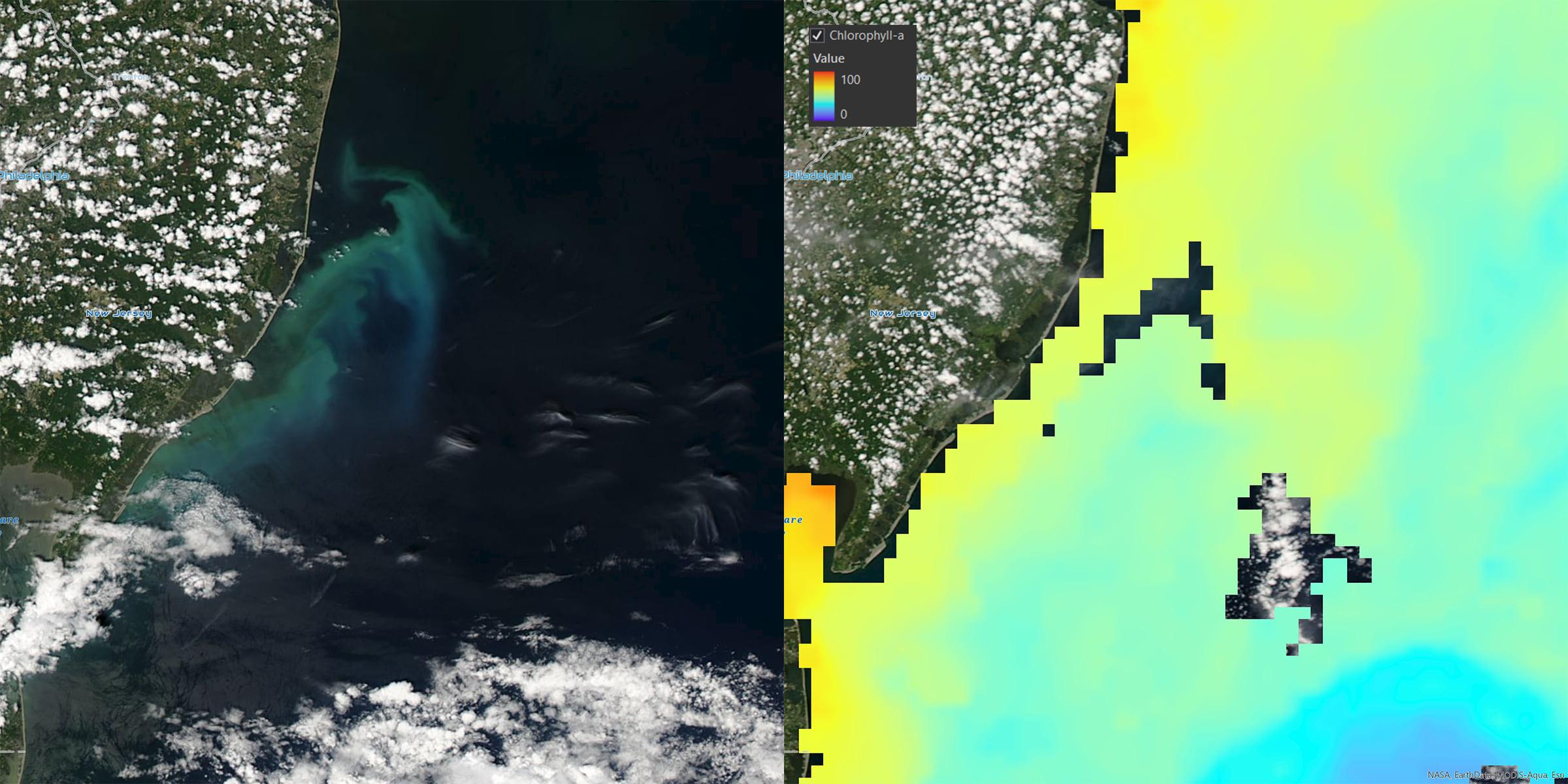 Phytoplankton Bloom off the coast of New Jersey - July 6, 2016. MODIS
