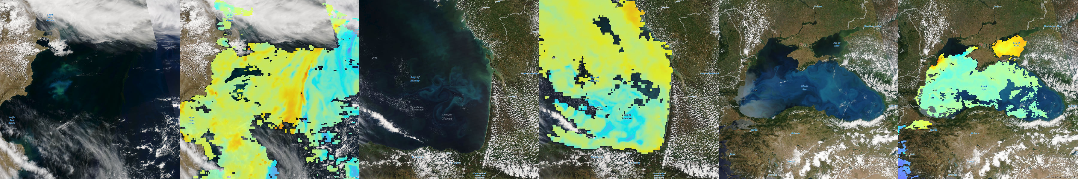 Phytoplankton Bloom Examples from MODIS. Available in the Living Atlas of the World.