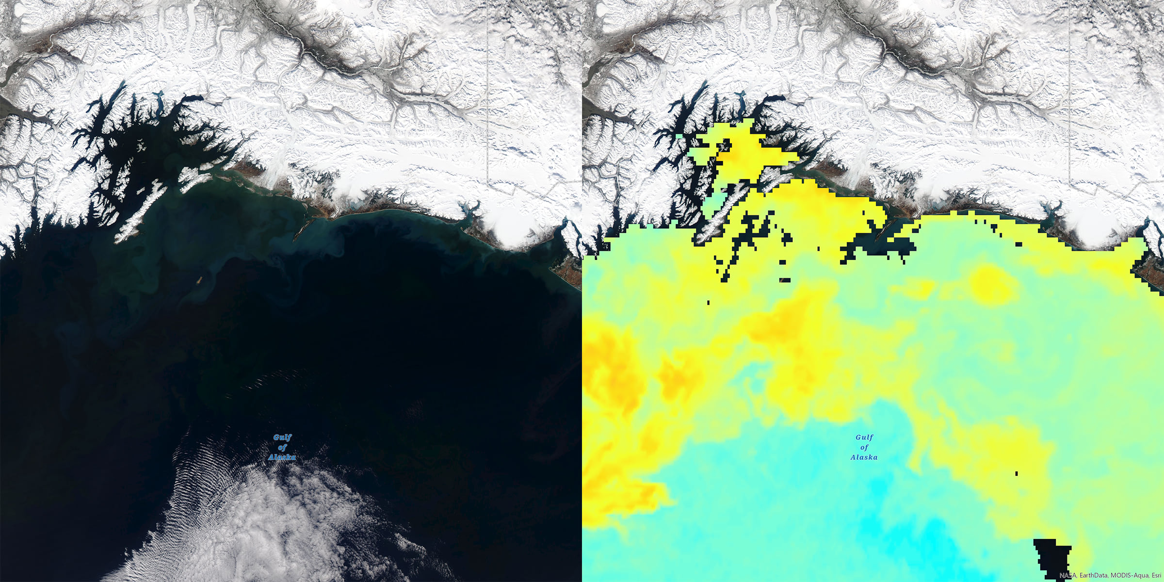 Gulf of Alaska | Phytoplankton Bloom in the Gulf of Alaska on May 12, 2017. MODIS.