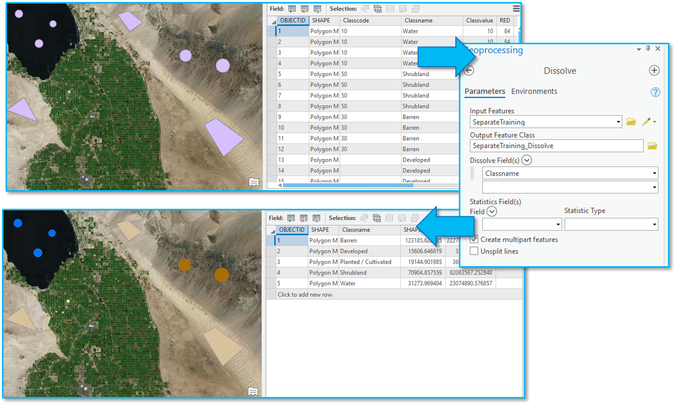 Use Dissolve to "collapse" records in the training samples feature class