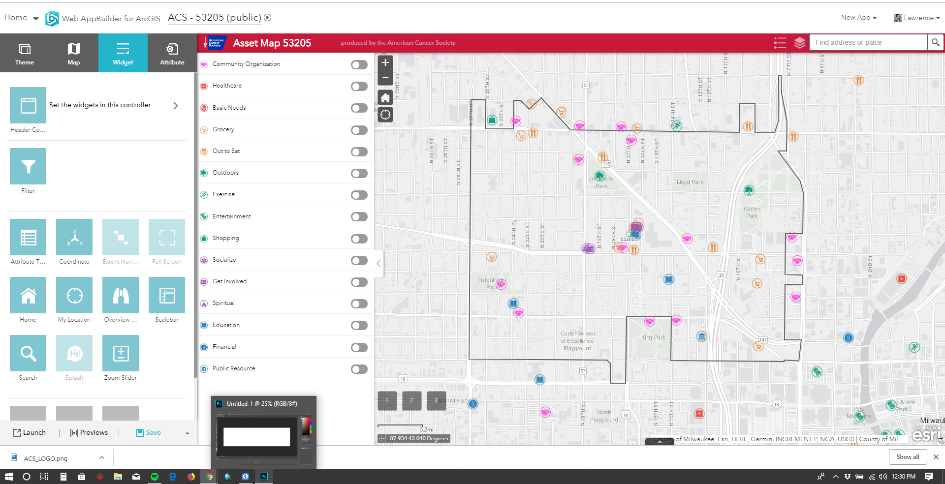 No filters activated.  Original icons from web map layer.