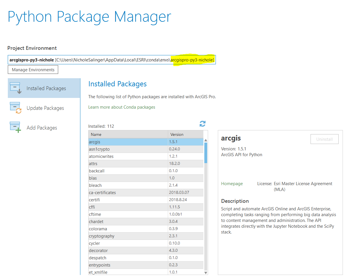 arcgispro managing environment screenshot