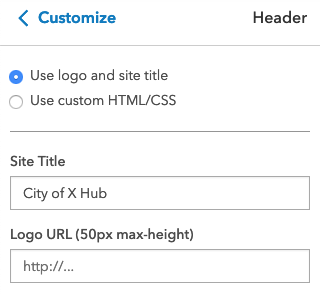 customize panel showing 2 radio buttons for logo/title and custom html