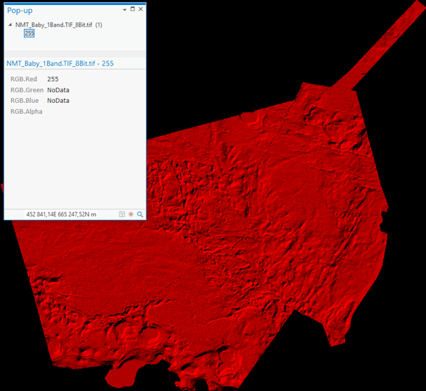 arcmap raster calculator nodata