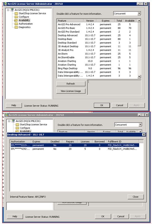 ArcGIS License Server Manager Screen Shots