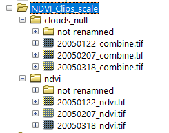 File_names