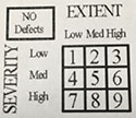 Matrix for surveying pavement conditions