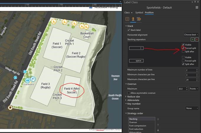 arcgis-pro-stacked-labelling-should-prioritise-esri-community