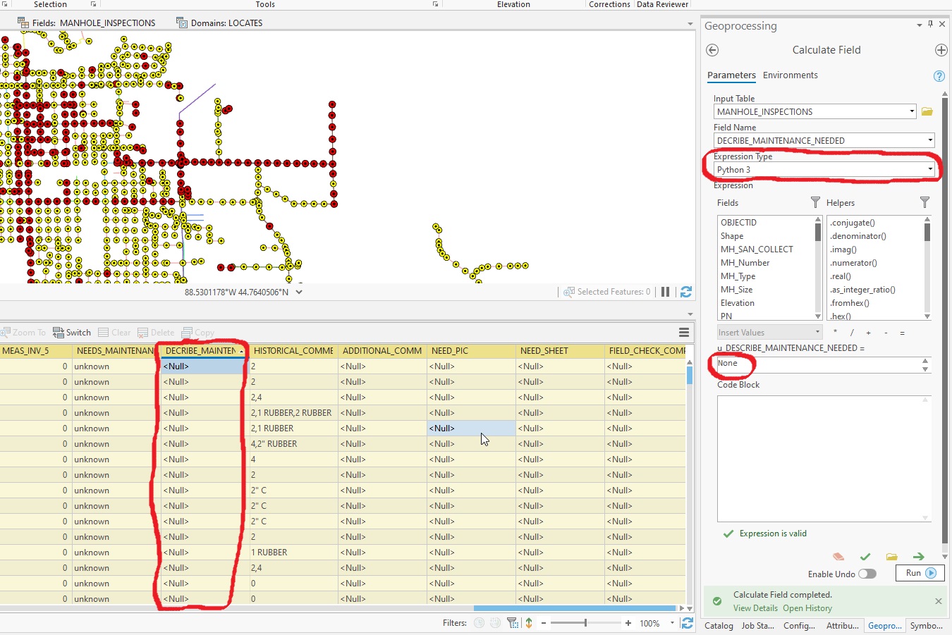 Calculating a true null value in a field using Expression Type Python 3