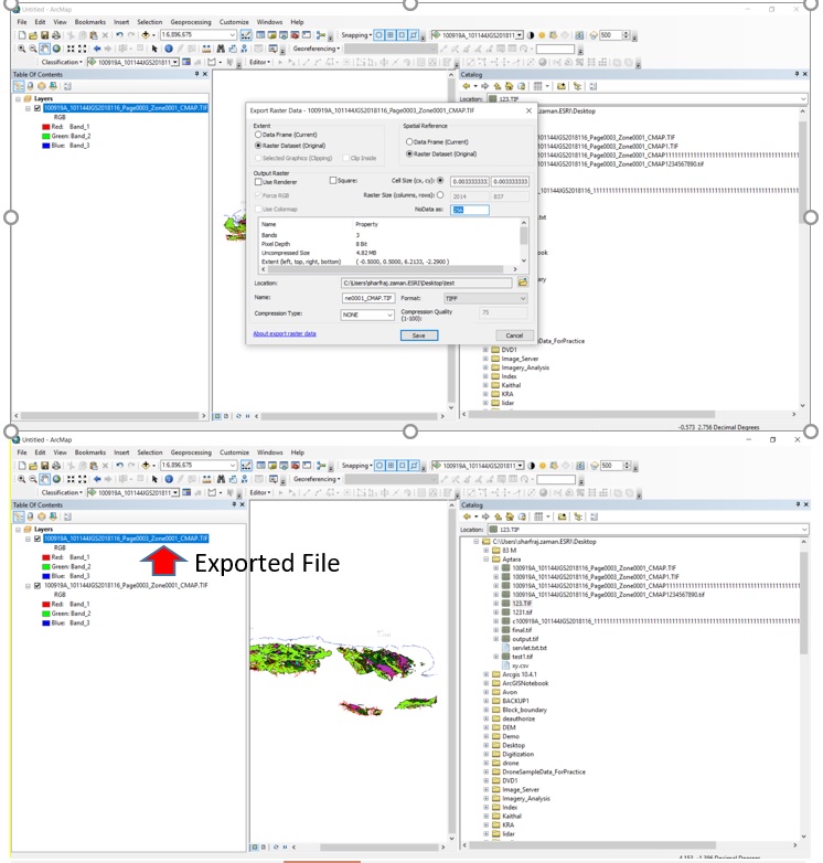 ArcMap_export_raster_filename