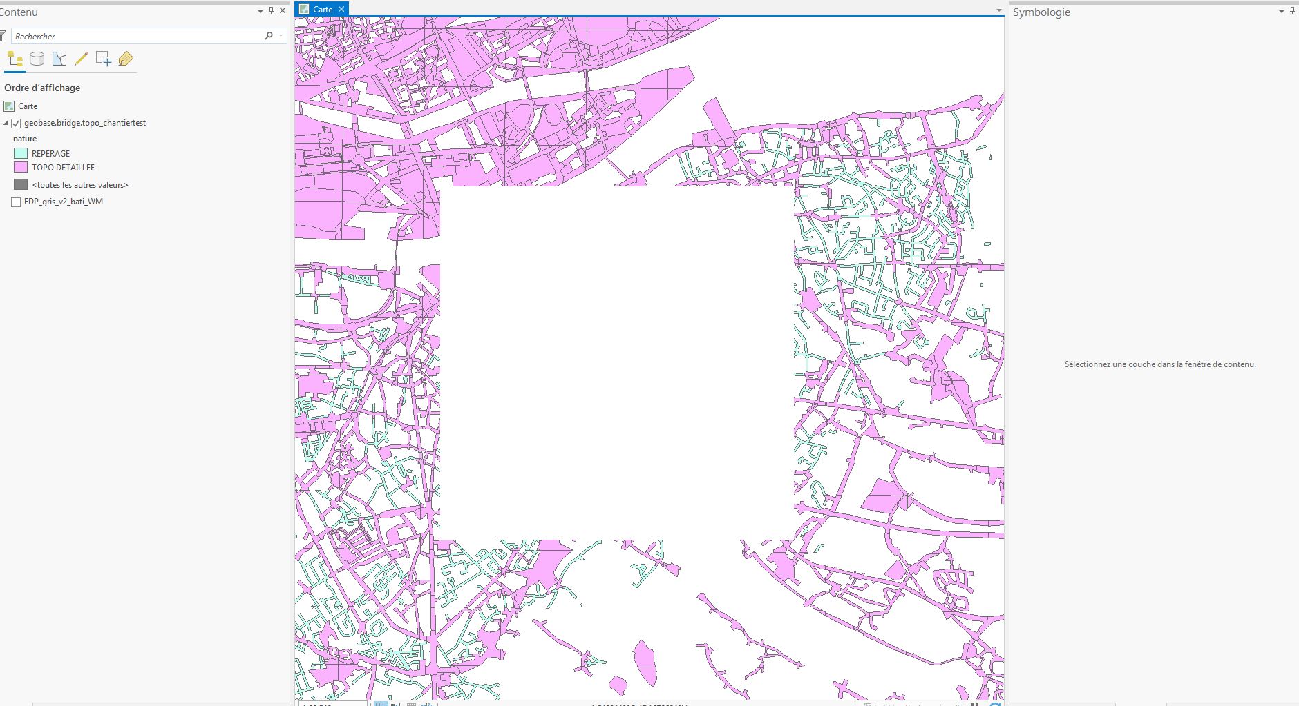 ArcGIS Pro - Layer disappearing (cache tile)