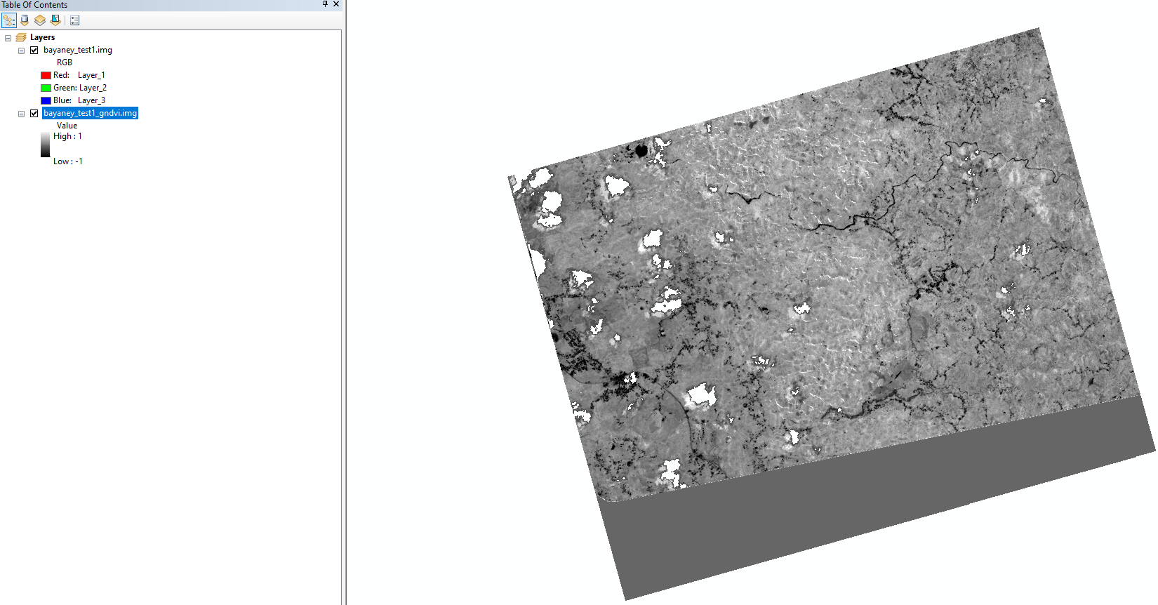 erdas image after process in ArcMap 