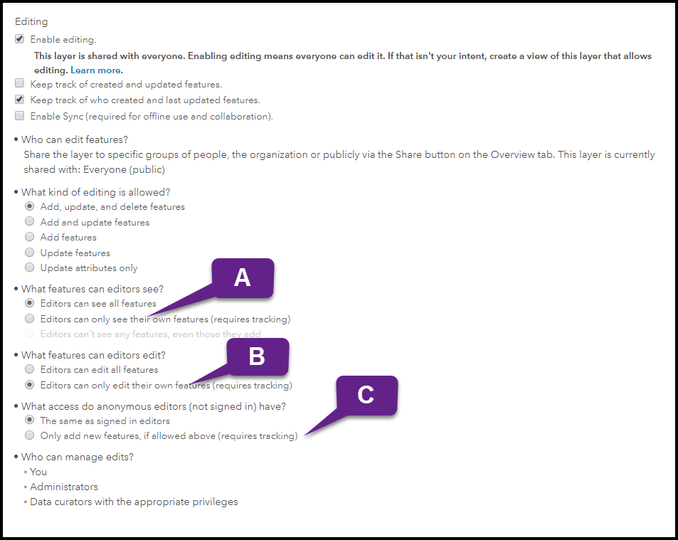 Ownership-Based Access