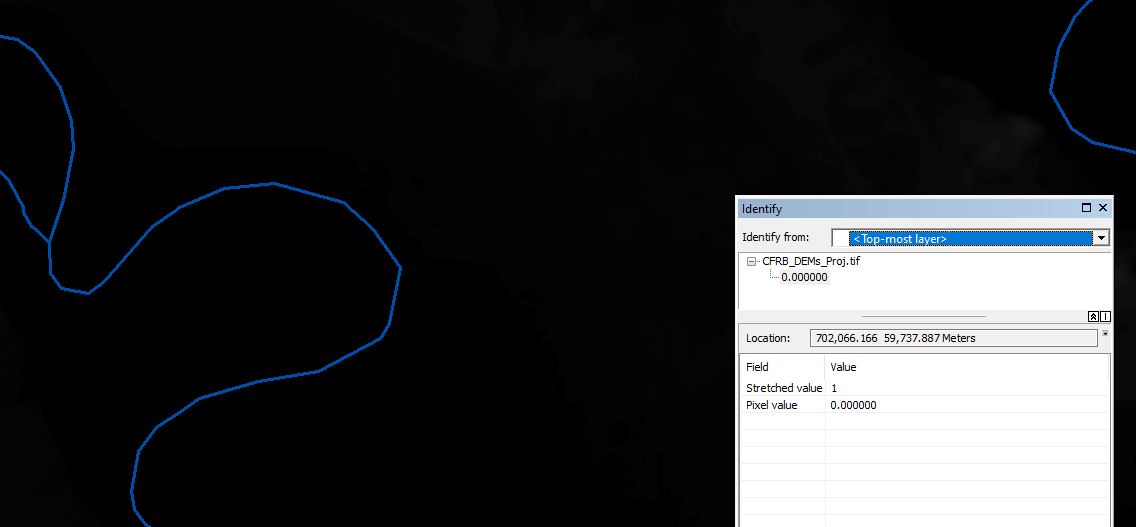 Here is what my raw DEM looks like, it contains negative and 0 values.