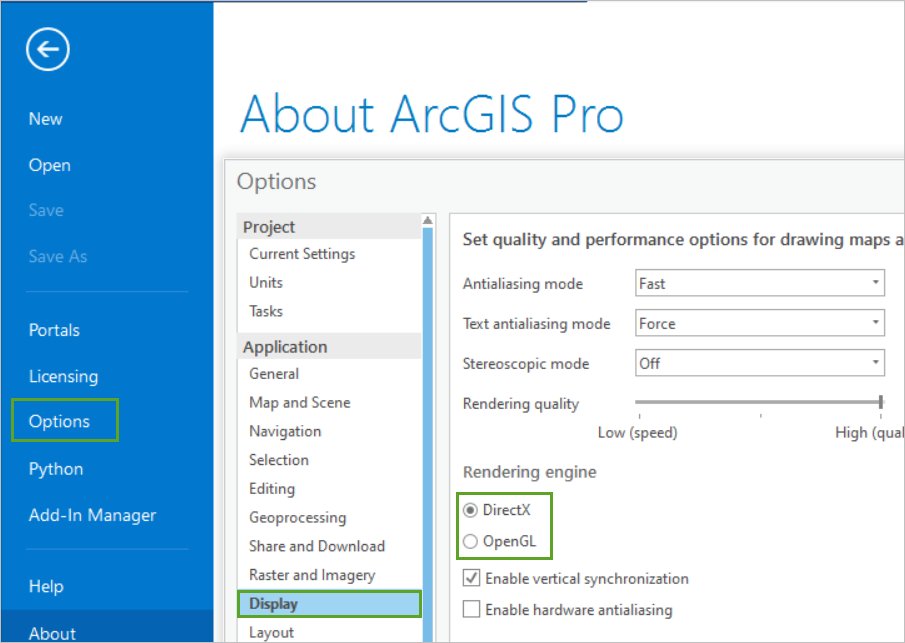 Display settings in ArcGIS Pro