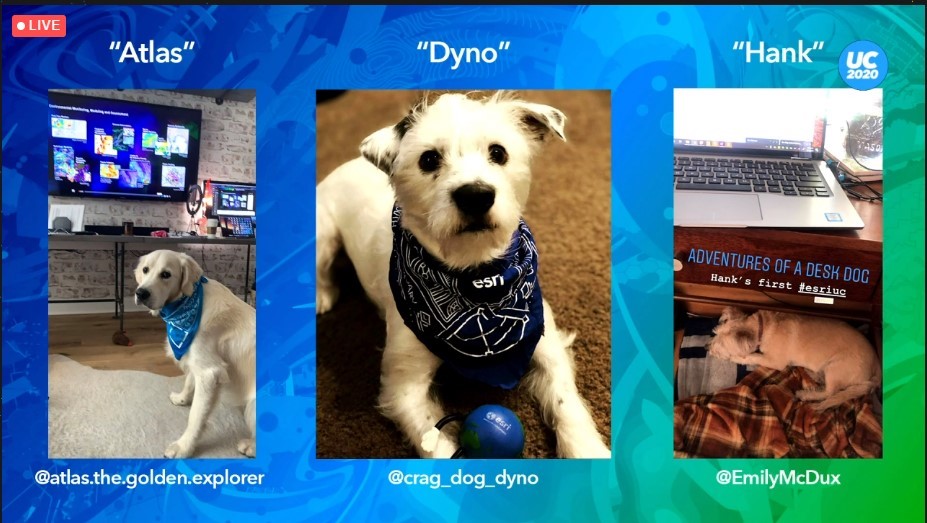 Dogs of the Esri UC