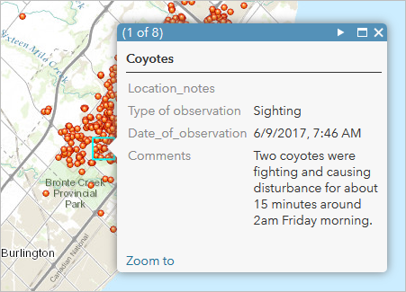 A coyote sighting report in Oakville
