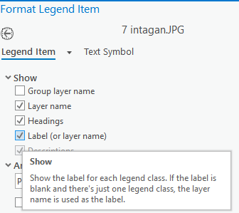 Format Legend Item-menu