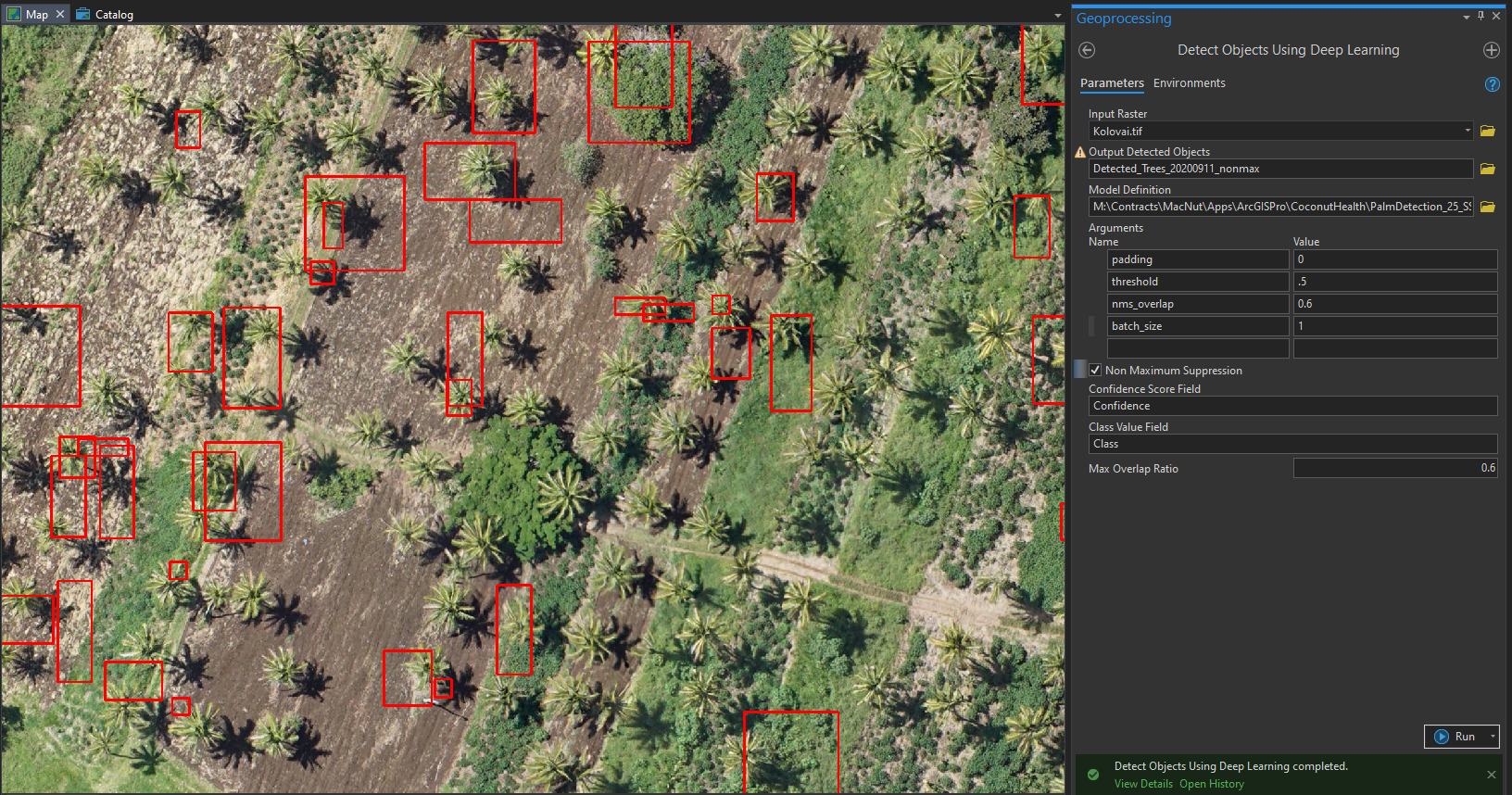 Detect palm trees with a deep learning model - default settings