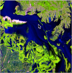 lake drying up satellite image