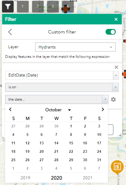 Custom filter does not support time-specific filtering