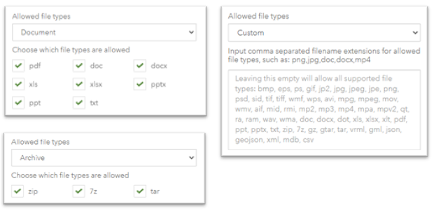 Permitted File Extensions