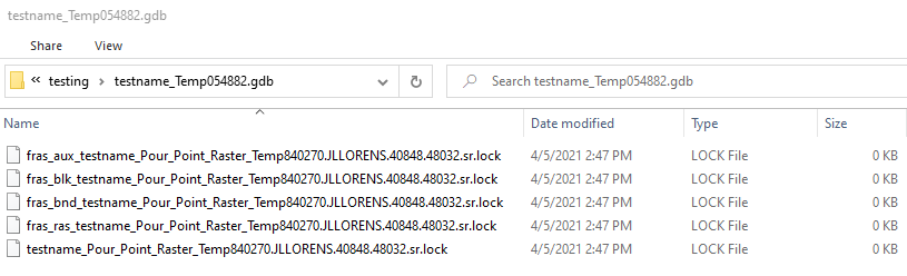 The "remnant" file gdb folder.