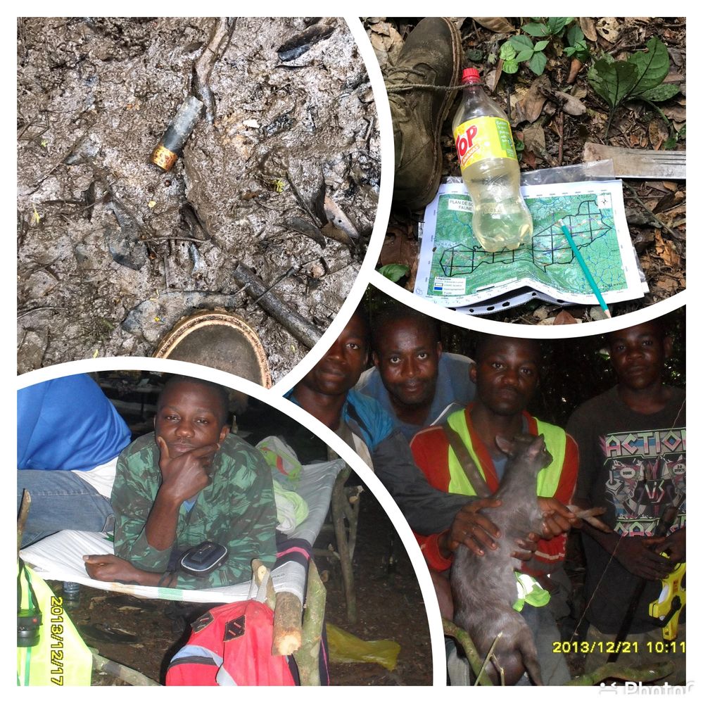 Maps and Wildlife Inventory.jpg