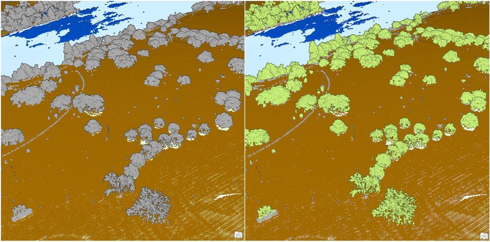 Before and after using deep learning to classify trees in the lidar point cloud